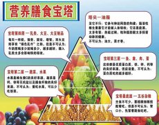 食育之美| 活色生香·均衡营养——学生一周食谱