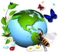 【PYP动态】探究生物，共享地球——PYP一年级组探究活动