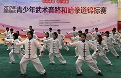  PYP动态|“哲拳”挥出色！小学生耍太极有一套！ 