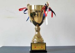 美视学子荣获2010年全国啦啦操锦标赛中学组花球无级别第一名