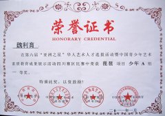 美视学子魏利育在第6届“亚洲之星”华人艺术人才选拔活动中荣获琵琶项目少年A组一等奖