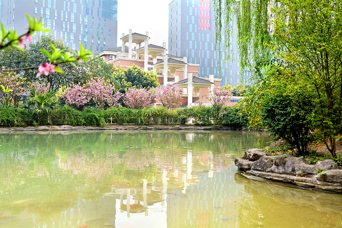 Primary School of Chinese Division