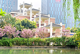 成都美视学校2019年小升初随机派位名单公示