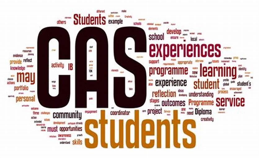 创造、行动与服务