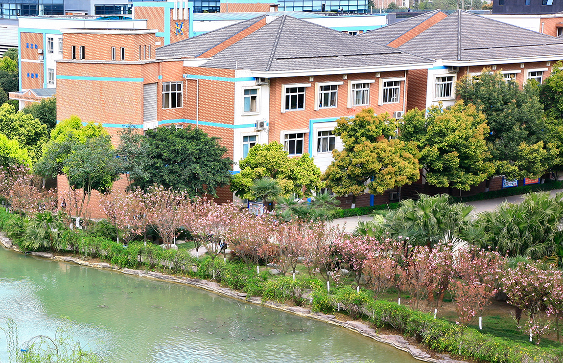 行政楼 中学部教学楼