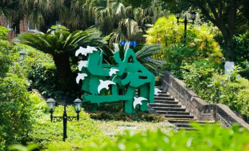 良师相伴暖成长，匠心育人向远方｜美视师一名师专栏「 第一期 」