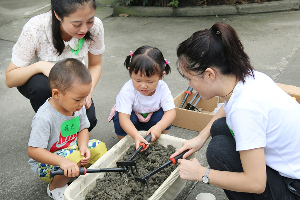 亲手种下西瓜种子